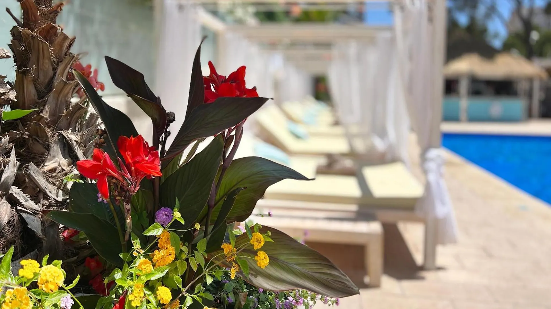 Apartamento Inn Mallorca Aparthotel Magaluf
